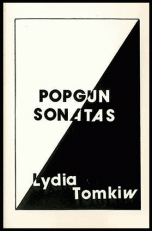 The Popgun Sonatas chapbook